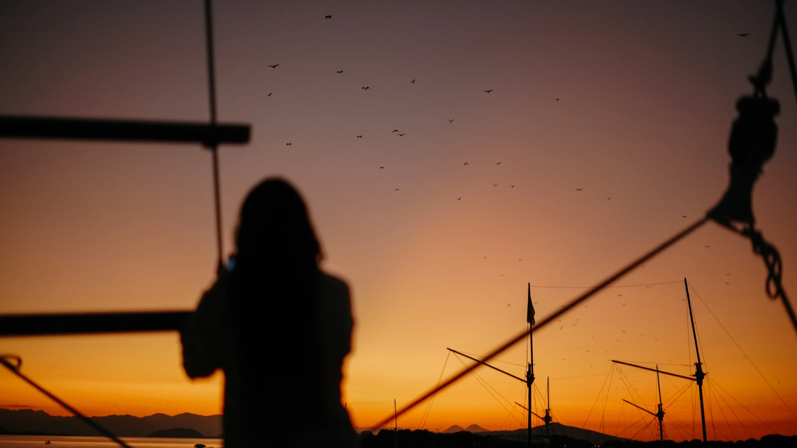 Sunrise or sunset view taken from Elrora.